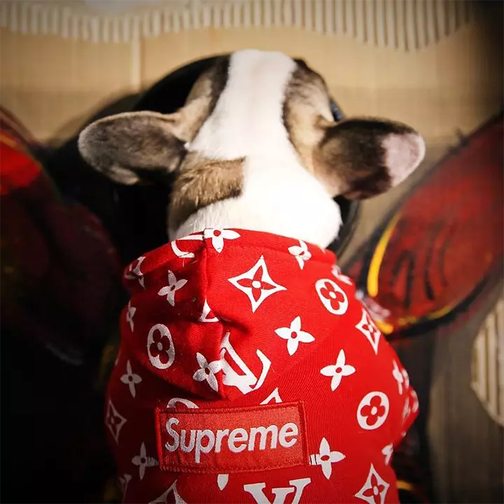 LV Supreme 中型犬 運動服