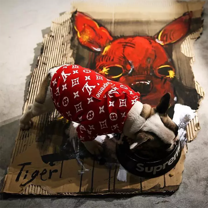 ハイブランド 犬服