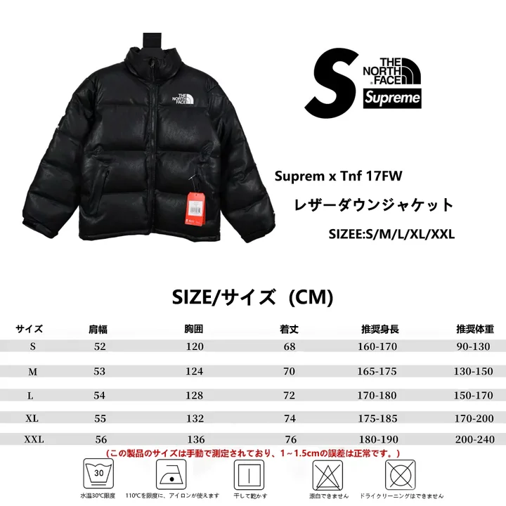 ノースフェイス レザー ダウン
